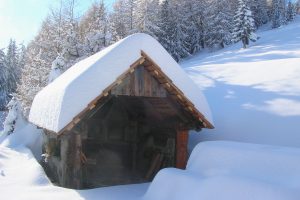 Winter auf der Hoisenhütte